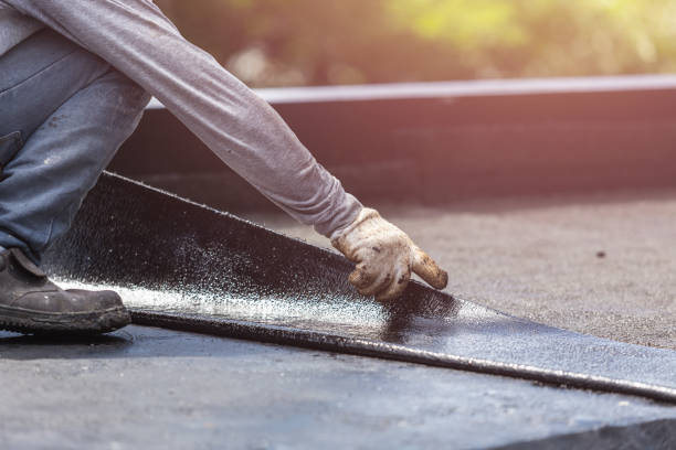 Professional Interior Drainage System technician working in Green Camp, OH